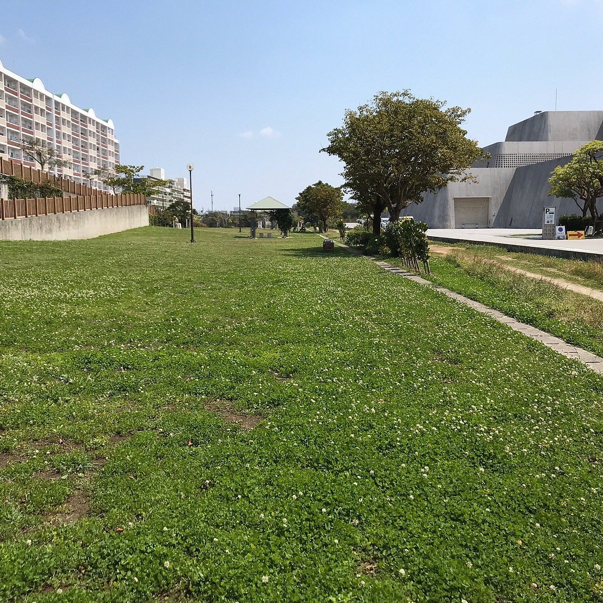 🏞️ 황금숲 공원(쿠가니무이 공원)